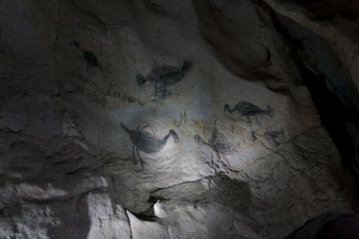 Cuevas-1