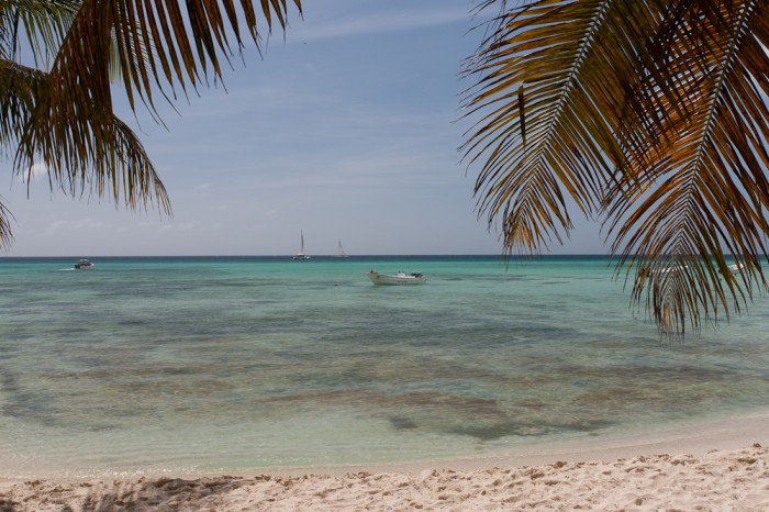 Saona-12