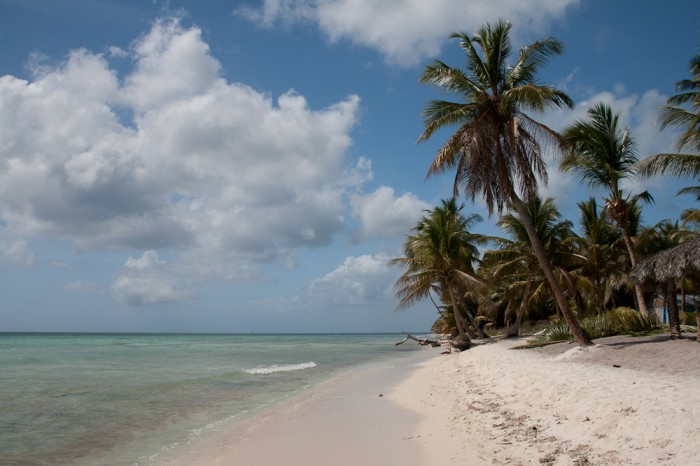 Saona-14