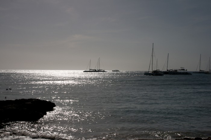 Saona-19