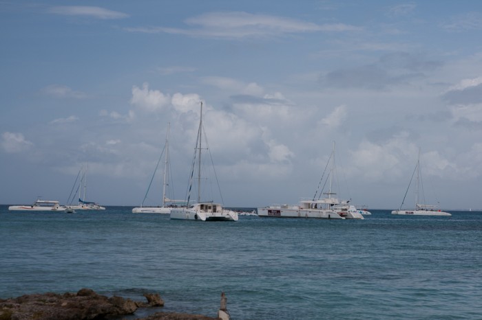 Saona-5