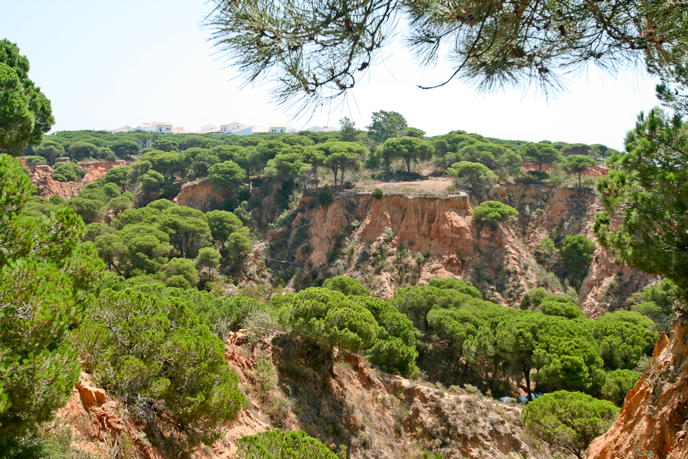 Portugal Algarve Silves Albufeira