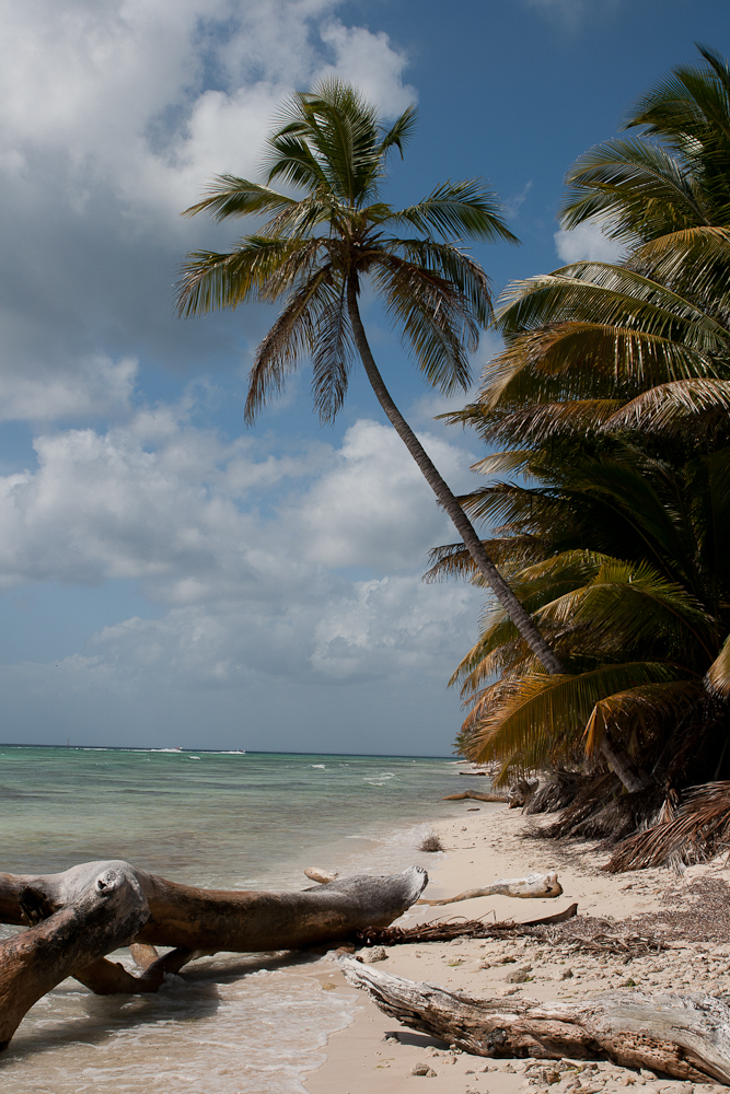 Saona-15