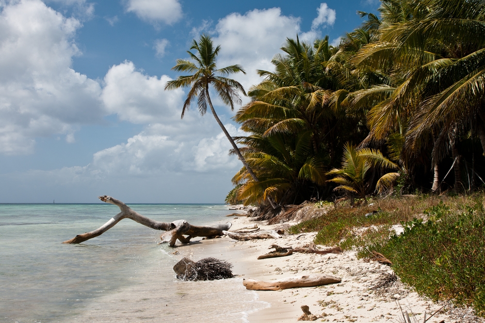 la_isla_saona_dominikanische_republik_katamaran_bayahibe_05