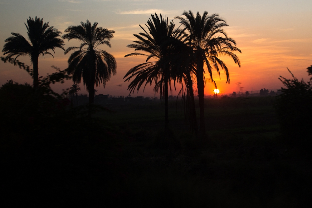 aegypten_hatchepsout_luxor_karnak_tempel_bus_ausflug_38