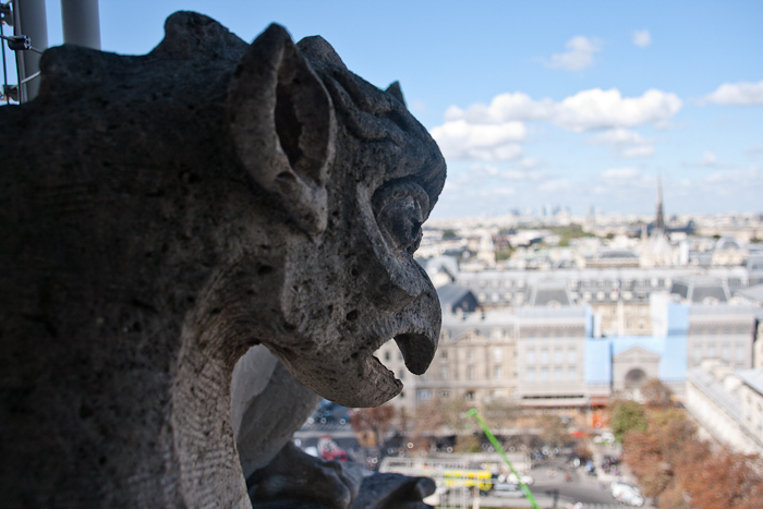 Notre Dame - Fashionvictress