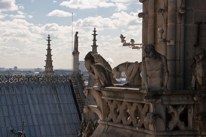 Notre Dame - Fashionvictress