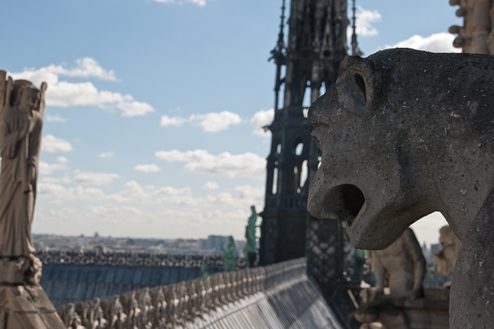 Notre Dame - Fashionvictress