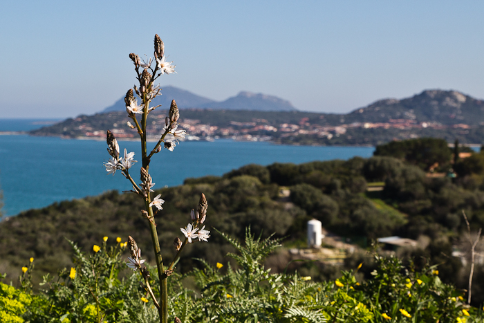 costa smeralda fashionvictress