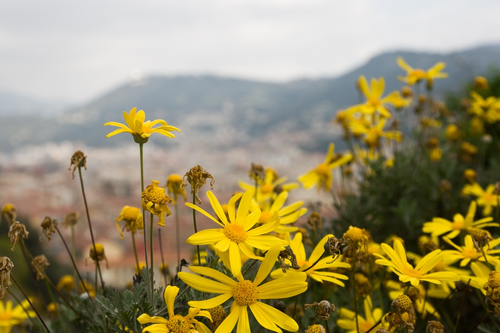 nizza_nice_Cote_dazur_mietwagen_hafen_strand_17