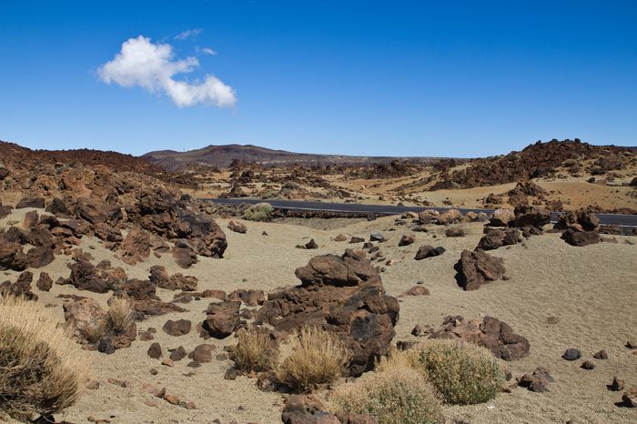 teide fashionvictress 02