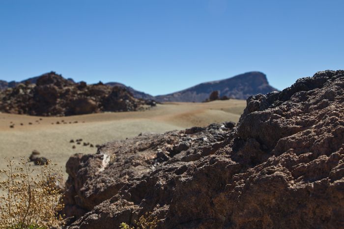 teide fashionvictress 04