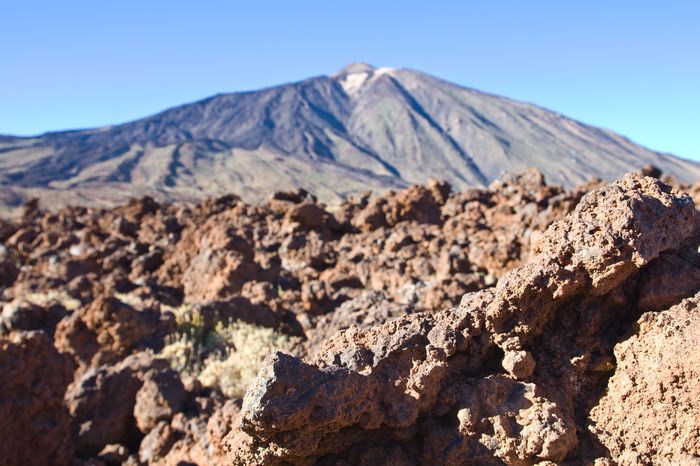 teide fashionvictress 14