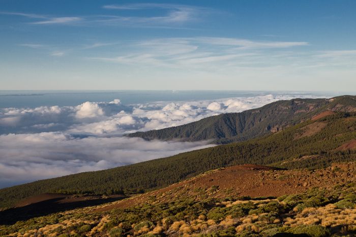 teide fashionvictress 18