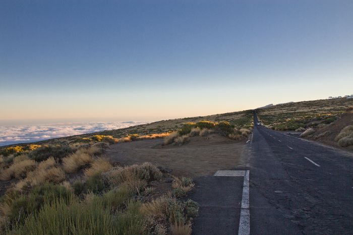 teide fashionvictress 19