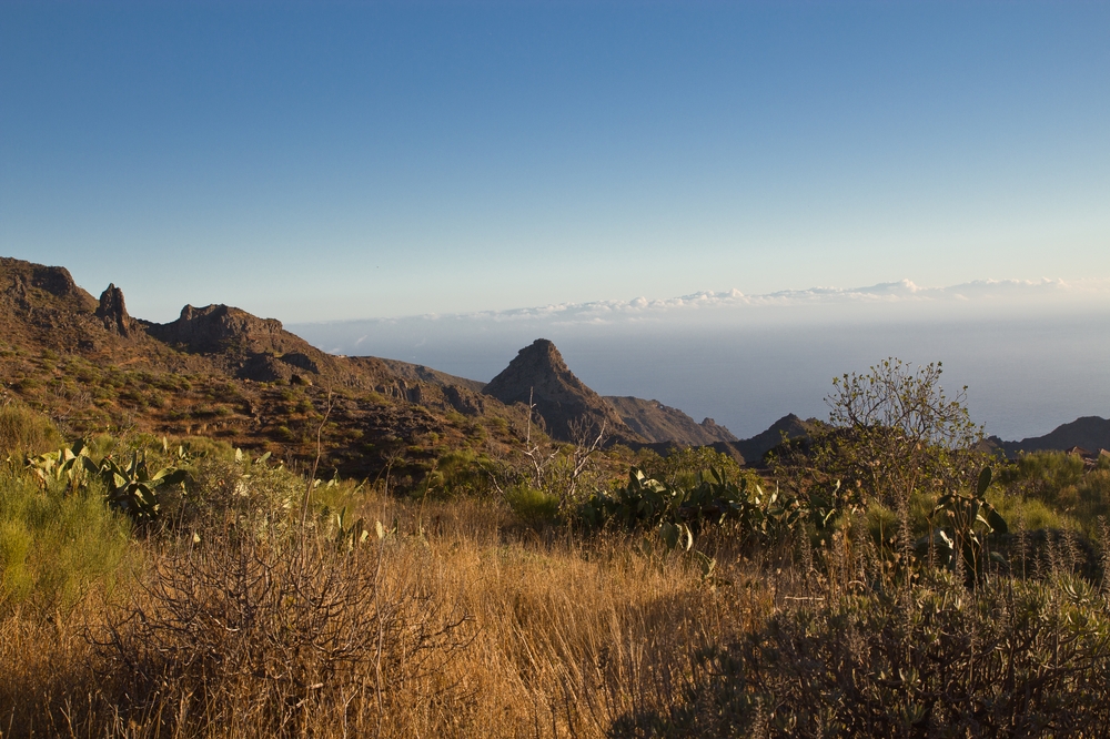 teneriffa_masca_kanaren_wanderung_mietwagen_el_drago_icod_05