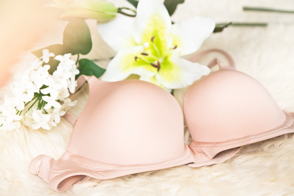 the_perfect_bra-1