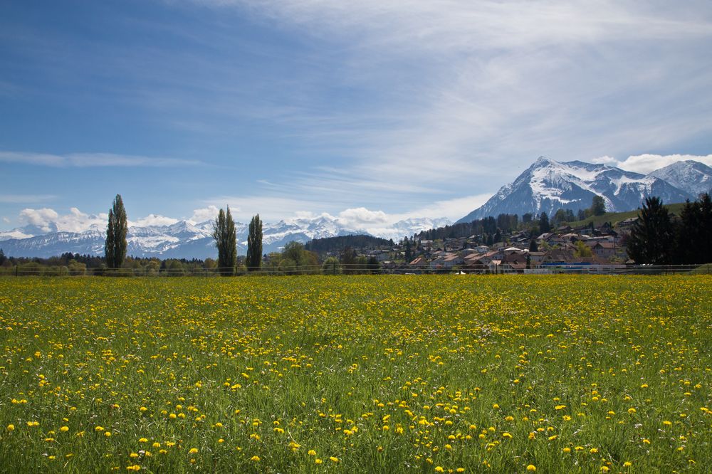 thunersee_schweiz_berner-oberland_04