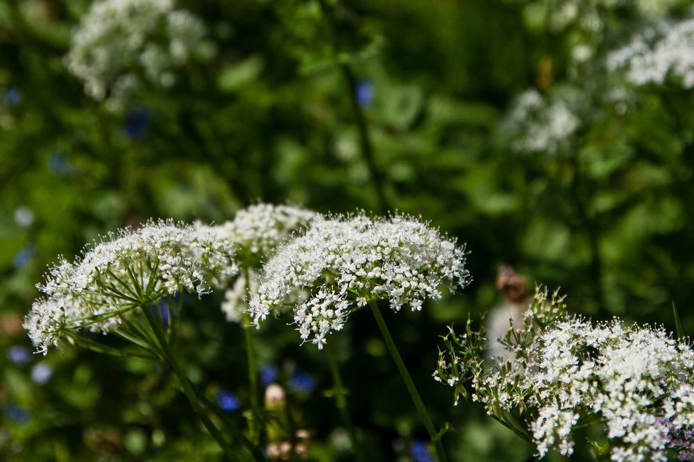 hall_in_tirol_wandern_essen_05