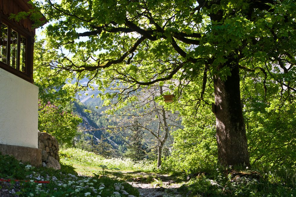 hall_in_tirol_wandern_essen_07