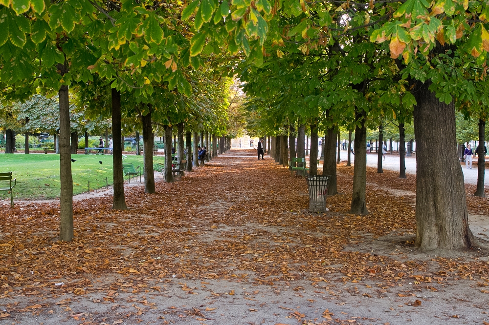 Paris_Parc-des-Buttes-Chaumont_Pere-Lachaise_20