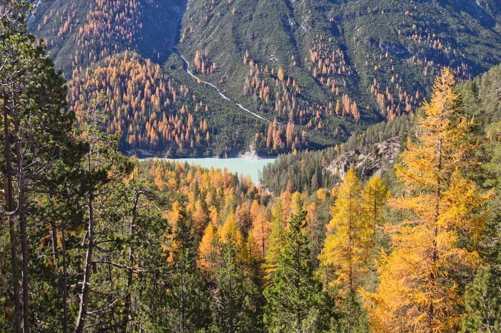 livigno_lago-di-livigno_hotel-concordia_lungolivigno_25