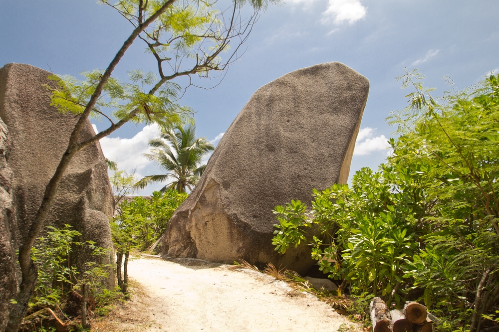 La_Digue_Seychellen_Anse_Source_dArgent_Grand_Anse_Turtles_Vanilla_LUnion_Estate_12