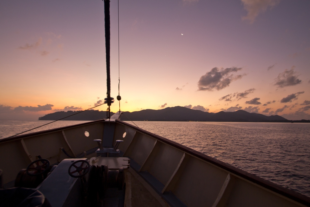 seychellen_cruise_seabird_impressionen_01