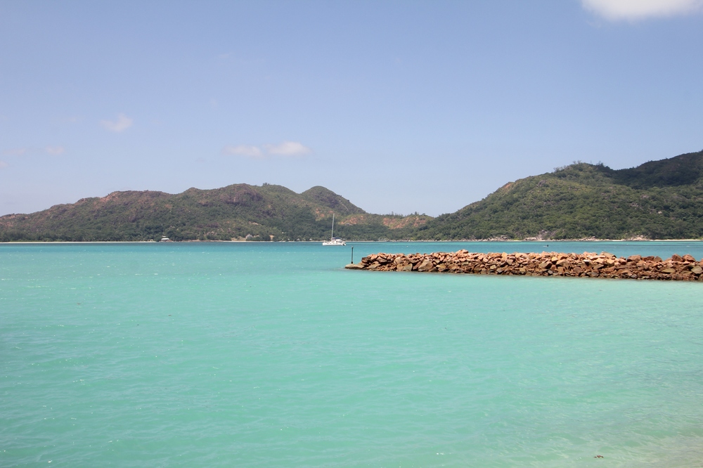 seychellen_cruise_seabird_impressionen_04