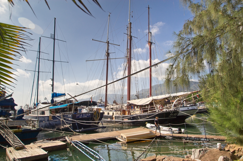 seychellen_mahe_flughafen_Port_victoria_seabird_silhouette_cruises_03