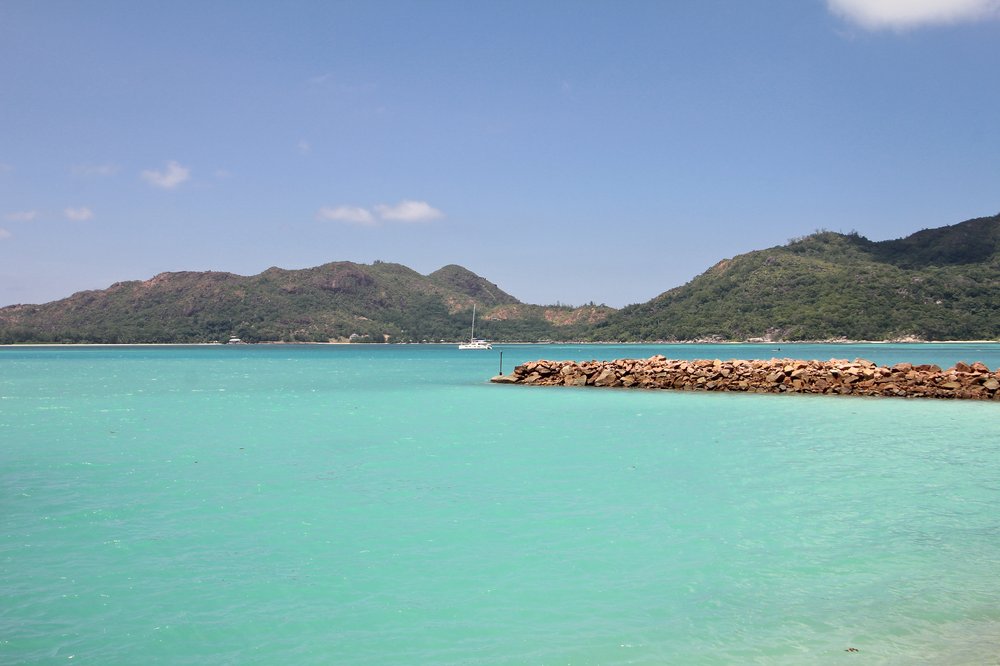 Seychellen_Praslin_Vallee-de-Mai_Coco-de-Mer_Black-Parrot_Cote-d-Or_01