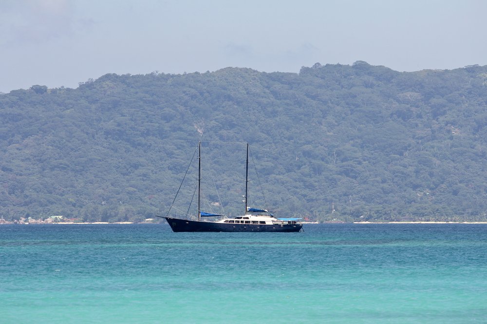 Seychellen_Praslin_Vallee-de-Mai_Coco-de-Mer_Black-Parrot_Cote-d-Or_02