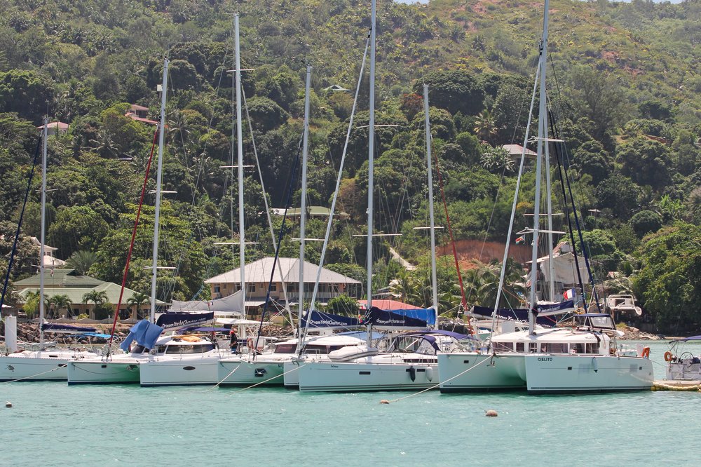 Seychellen_Praslin_Vallee-de-Mai_Coco-de-Mer_Black-Parrot_Cote-d-Or_03