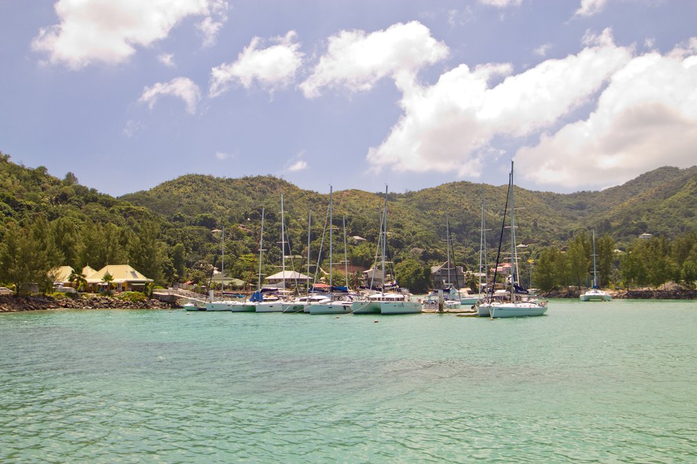 Seychellen_Praslin_Vallee-de-Mai_Coco-de-Mer_Black-Parrot_Cote-d-Or_04