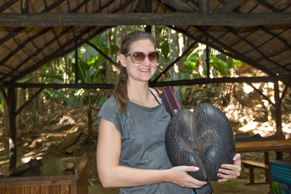 Seychellen_Praslin_Vallee-de-Mai_Coco-de-Mer_Black-Parrot_Cote-d-Or_13