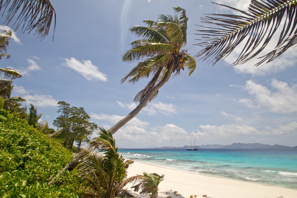 seychellen_aride_island_insel_vogel_naturschutz_strand_traumstrand_kreuzfahrt_silhouette_cruises_sea_bird_16