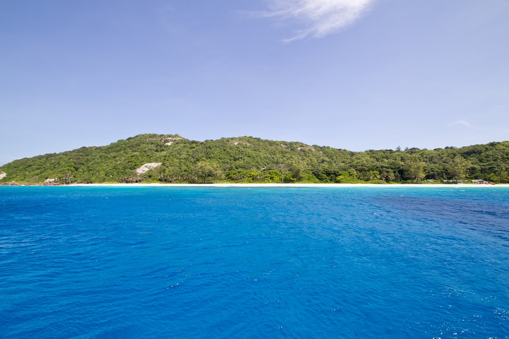 seychellen_aride_island_insel_vogel_naturschutz_strand_traumstrand_kreuzfahrt_silhouette_cruises_sea_bird_24
