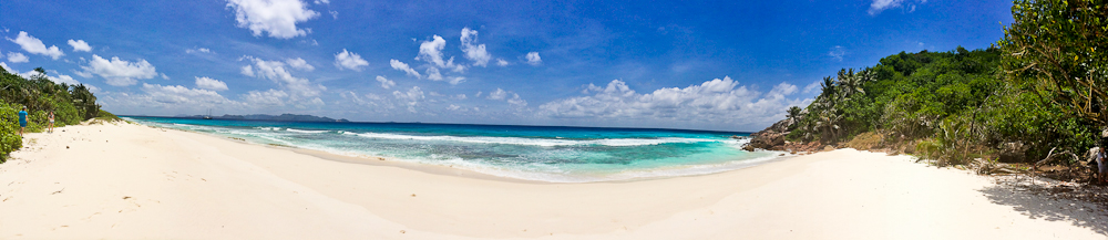 seychellen_aride_island_insel_vogel_naturschutz_strand_traumstrand_kreuzfahrt_silhouette_cruises_sea_bird_32