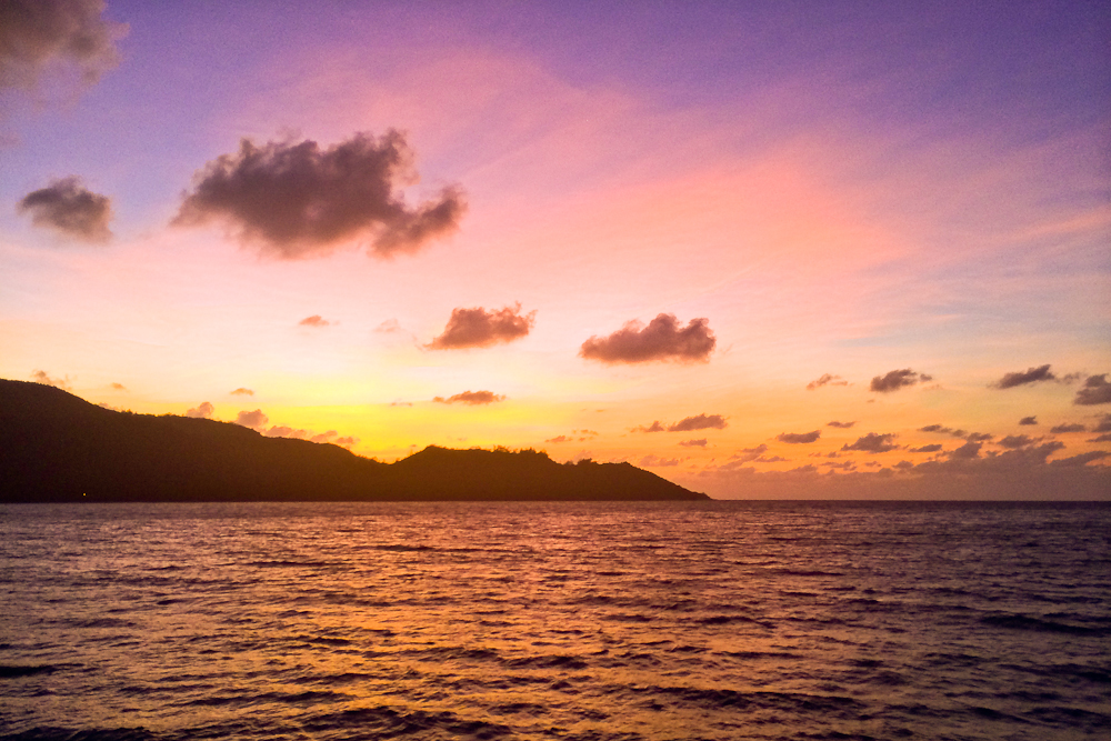 seychellen_aride_island_insel_vogel_naturschutz_strand_traumstrand_kreuzfahrt_silhouette_cruises_sea_bird_34