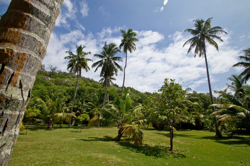 seychellen_coco_island_grande_soeur_sister_islands_schnorcheln_01