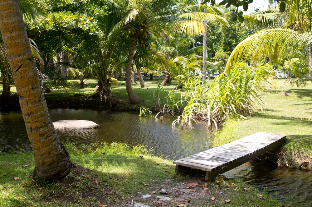 seychellen_coco_island_grande_soeur_sister_islands_schnorcheln_05