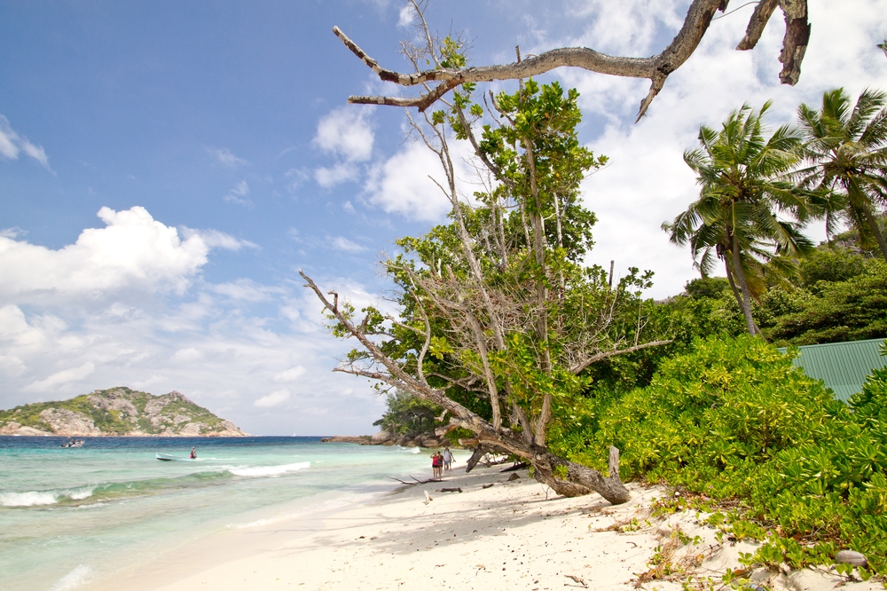 seychellen_coco_island_grande_soeur_sister_islands_schnorcheln_08