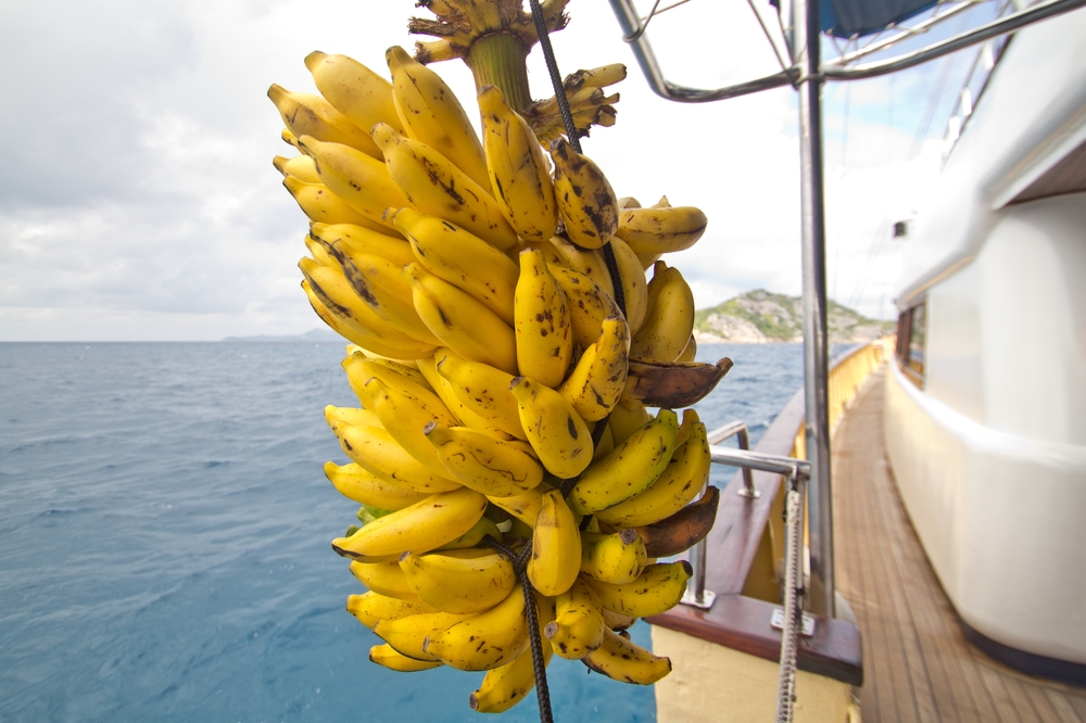 seychellen_coco_island_grande_soeur_sister_islands_schnorcheln_13