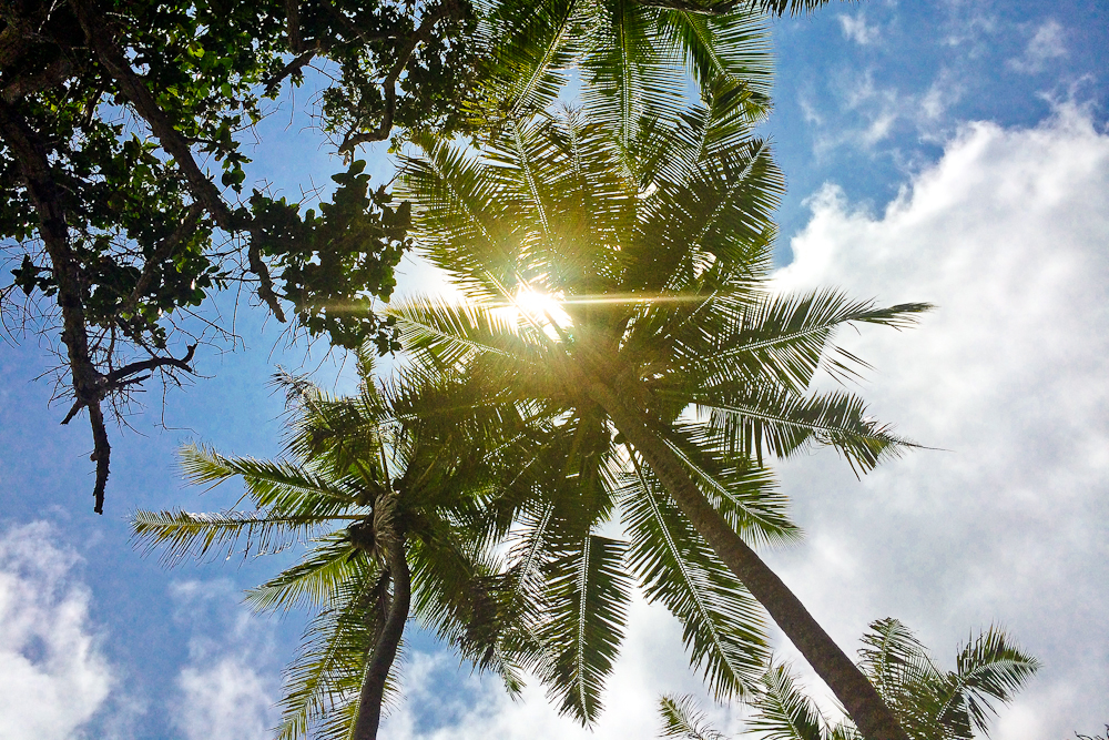 seychellen_coco_island_grande_soeur_sister_islands_schnorcheln_17