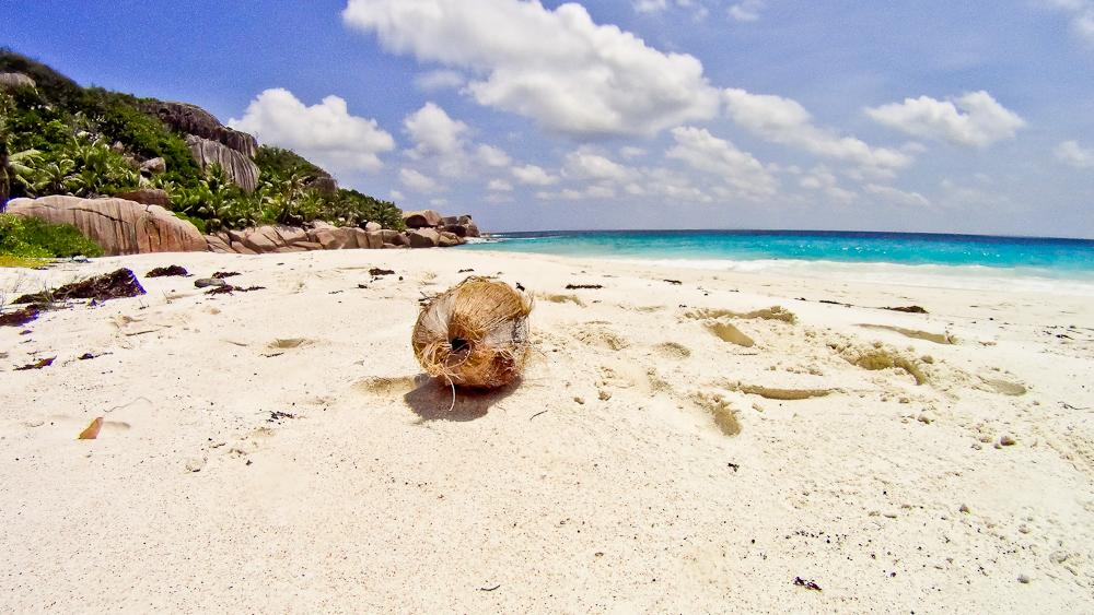 seychellen_coco_island_grande_soeur_sister_islands_schnorcheln_20