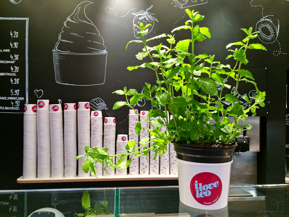 i_love_leo_muenchen_frozen_yogurt_froyo_10