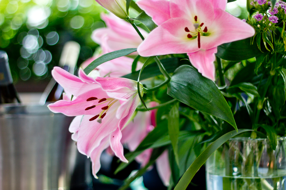 HEART_Munich_Event_Terrasse_Bar_Restaurant_Bloggers_Table_Drinks_Summer_05