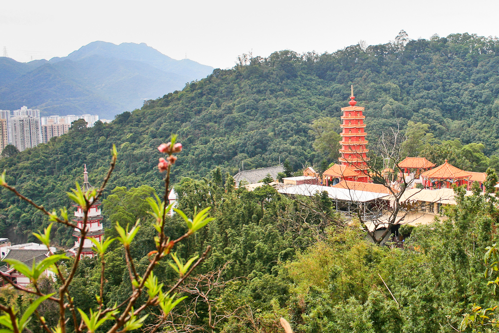 hongkong_china_blog_reiseblog_reisetagebuch_lantau_lamma_island_big_buddha_temple_10000_buddhas_avenue_stars_nan_lian_garden_19