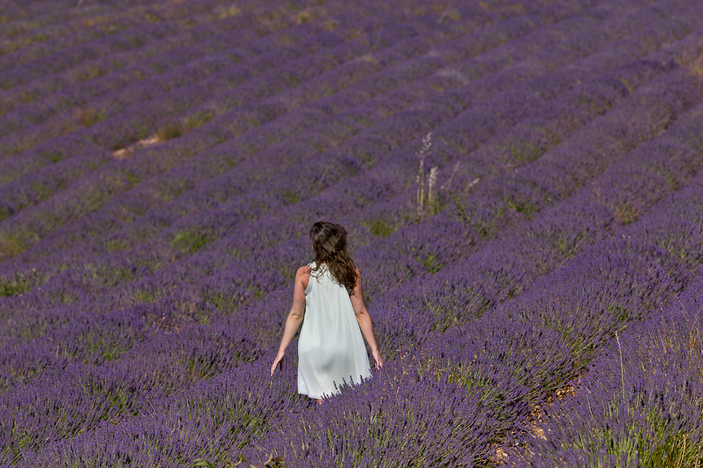 provence_lavendel_feld_gordes_abbaye_de_senanque_06