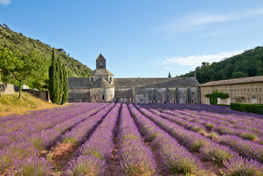 provence_lavendel_feld_gordes_abbaye_de_senanque_13